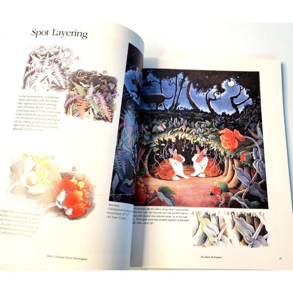 Book Basic Colored Pencil Techniques By Bet Borgeson 1997 - Picture 4 of 6